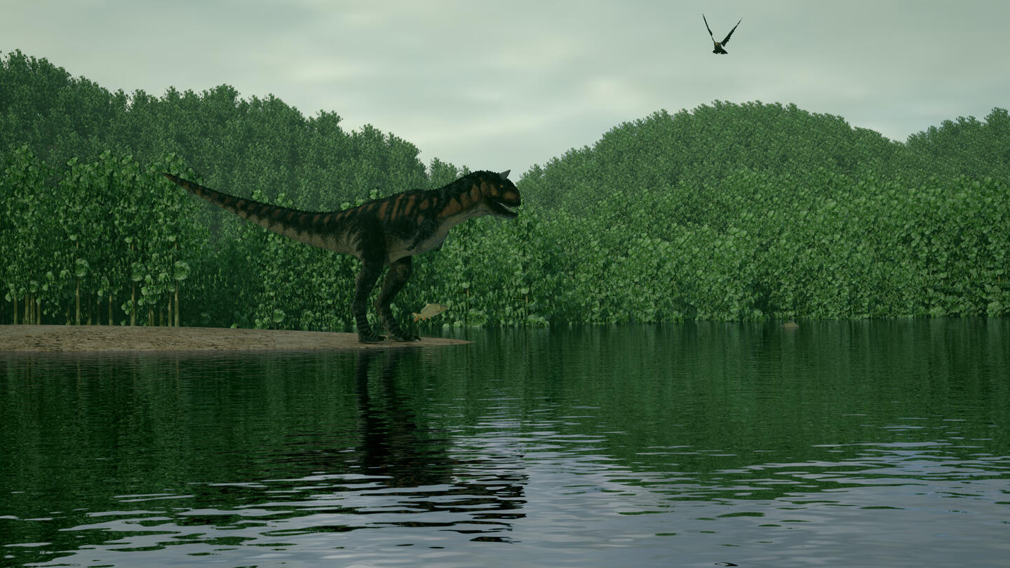 Carno watching over the lake
